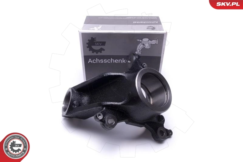 Steering Knuckle, wheel suspension